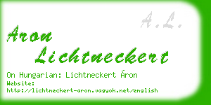 aron lichtneckert business card
